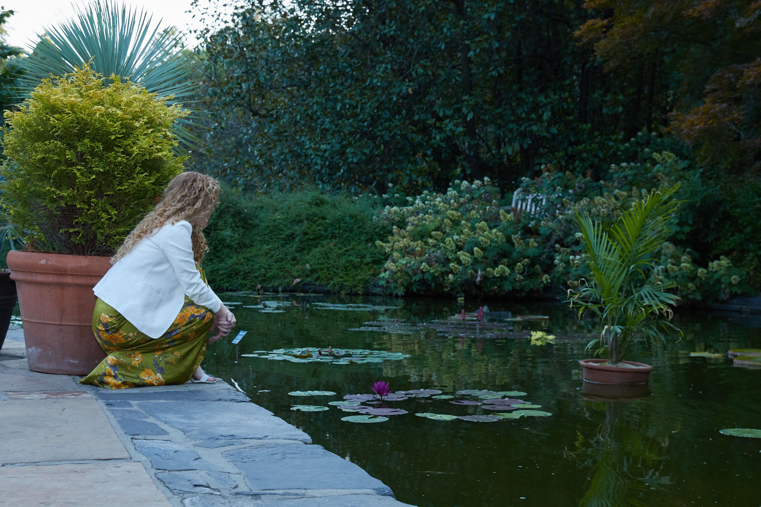 Carrie Davidson crouched at the edge of the lily pond, watching the water