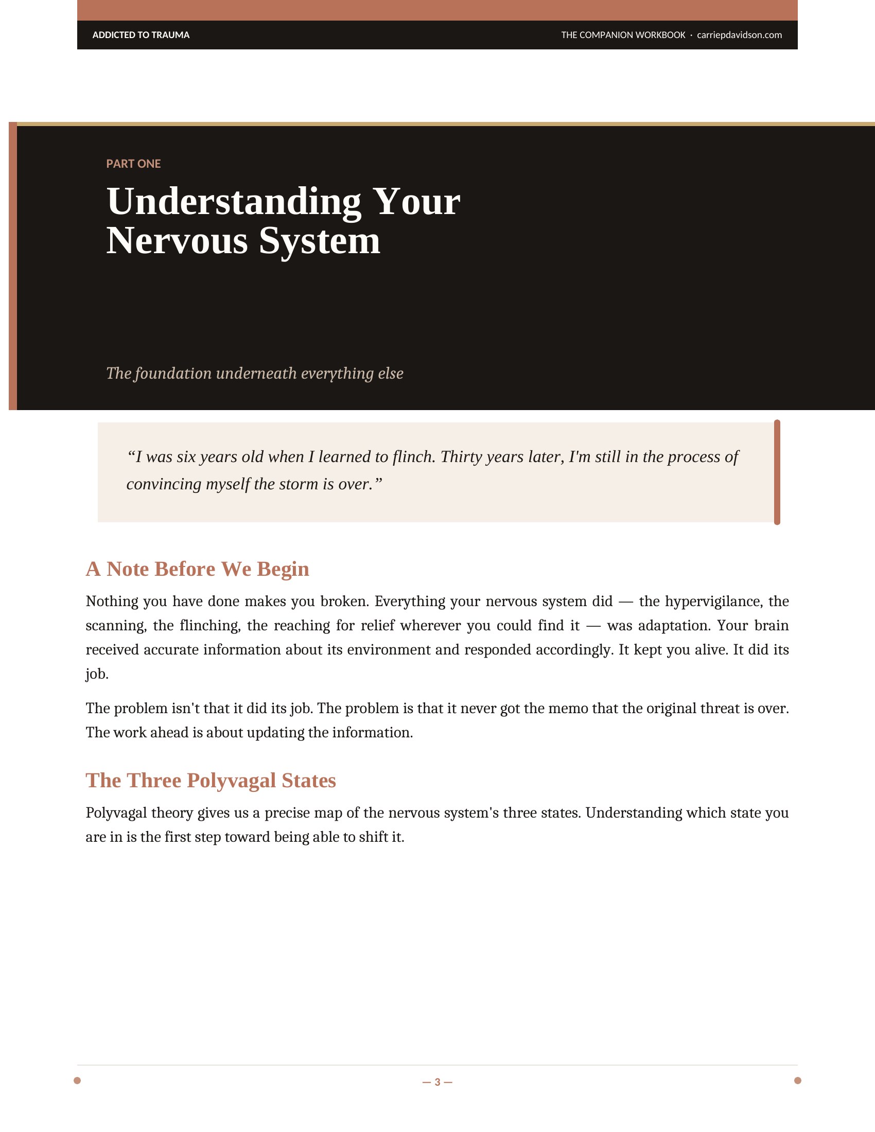 A section opener page from the CPTSD Workbook