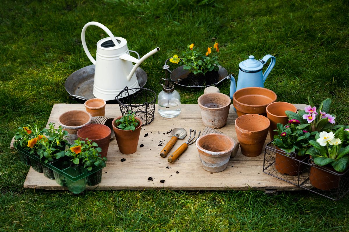 Garden table with terracotta pots and flowers, from the USA News feature